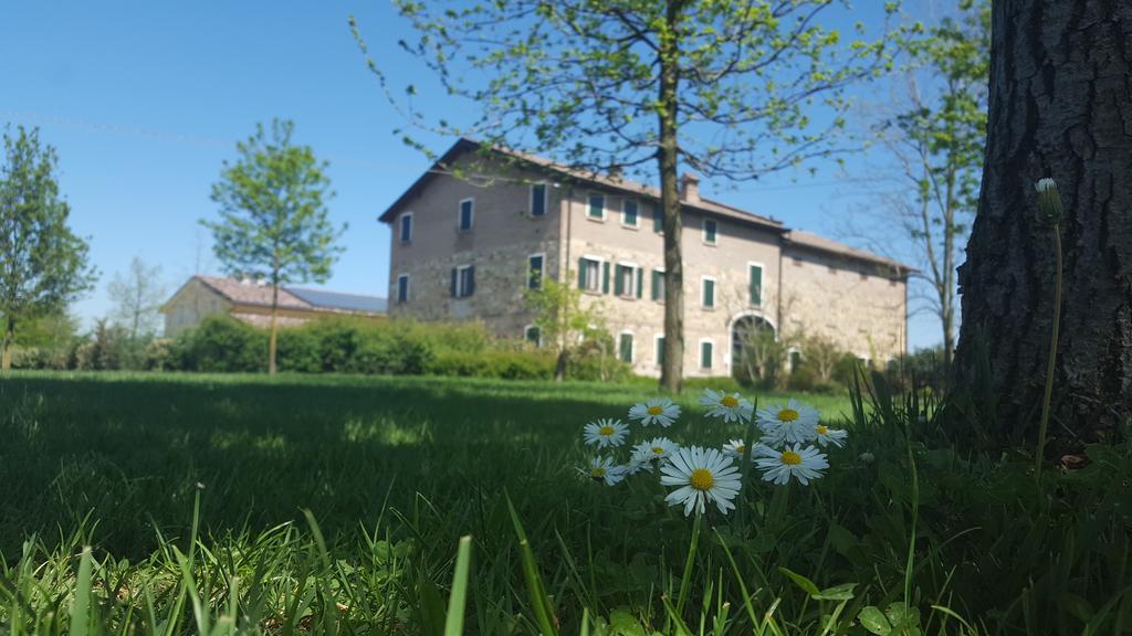 Agriturismo Il Brugnolo Villa Scandiano Exterior photo