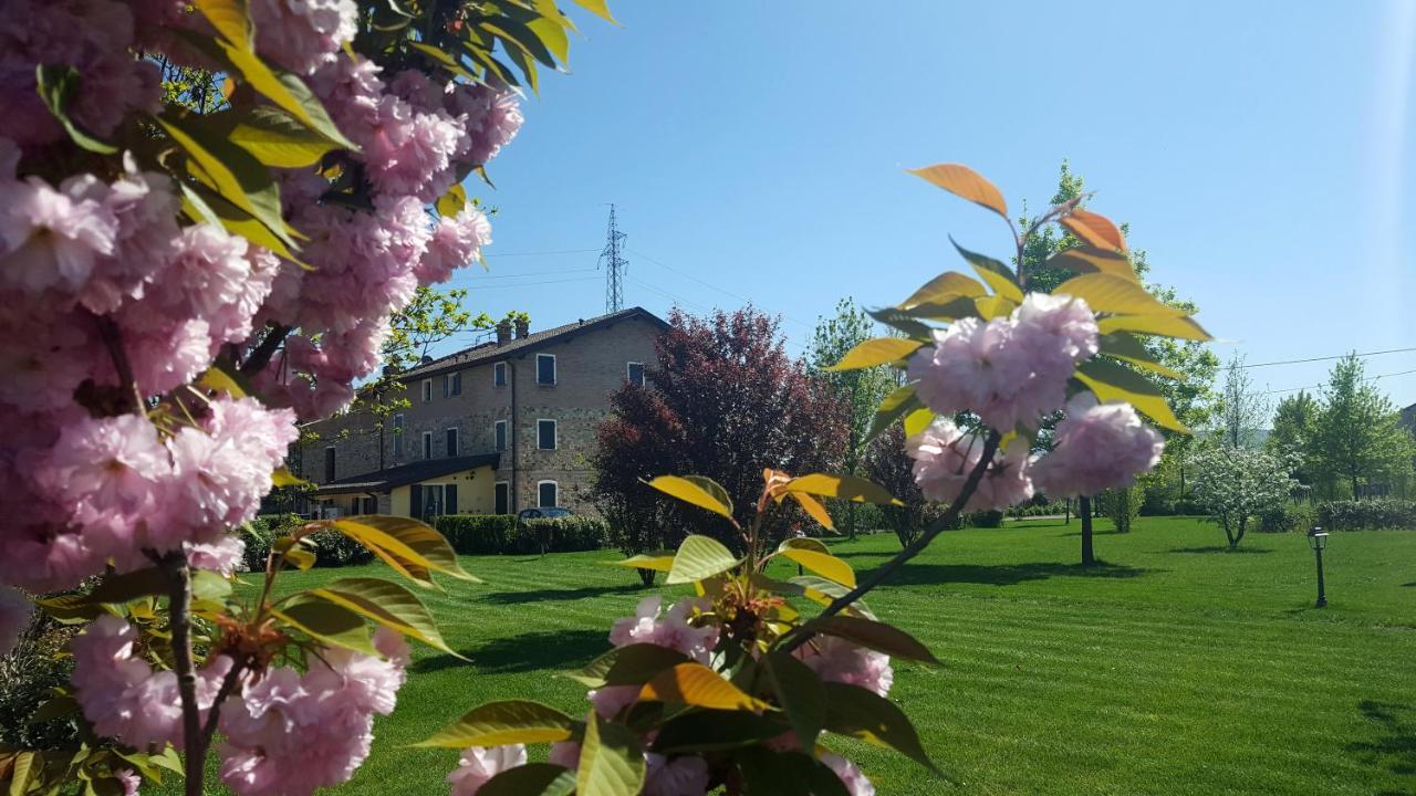 Agriturismo Il Brugnolo Villa Scandiano Exterior photo